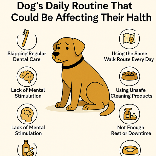 Illustration showing common harmful dog daily routines like skipping dental care and using unsafe cleaning products
