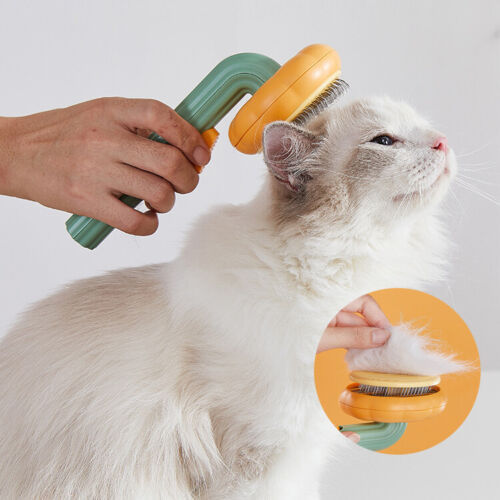Person grooming a cat with a pet grooming brush on a white background