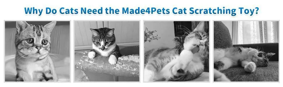 Durable cat scratching board from Pawssibly Pets showing cats happily using and relaxing on the scratching toy