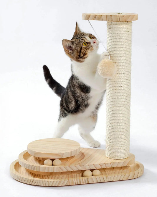 An Indoor cat playing with a Cat Scratching Post 