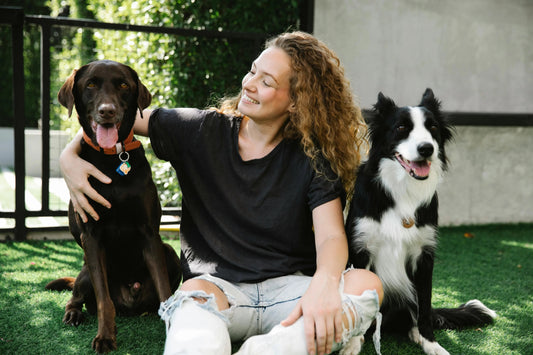 Person sitting on grass petting two happy dogs outdoors — understanding dog itching causes and when to see a vet in 2025