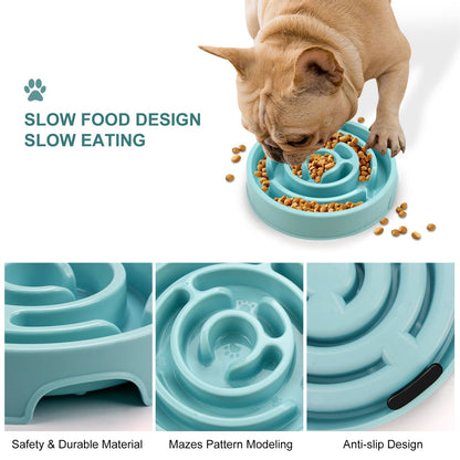 Dog eating from a slow feed bowl with features highlighted in a plain white background 