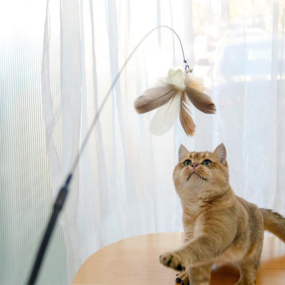A Cat playing with a feather toy against a light curtain background