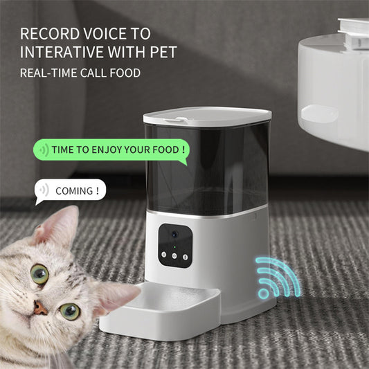 Automatic Pet feeder with text indicating voice interaction and real-time food call, next to a cat.