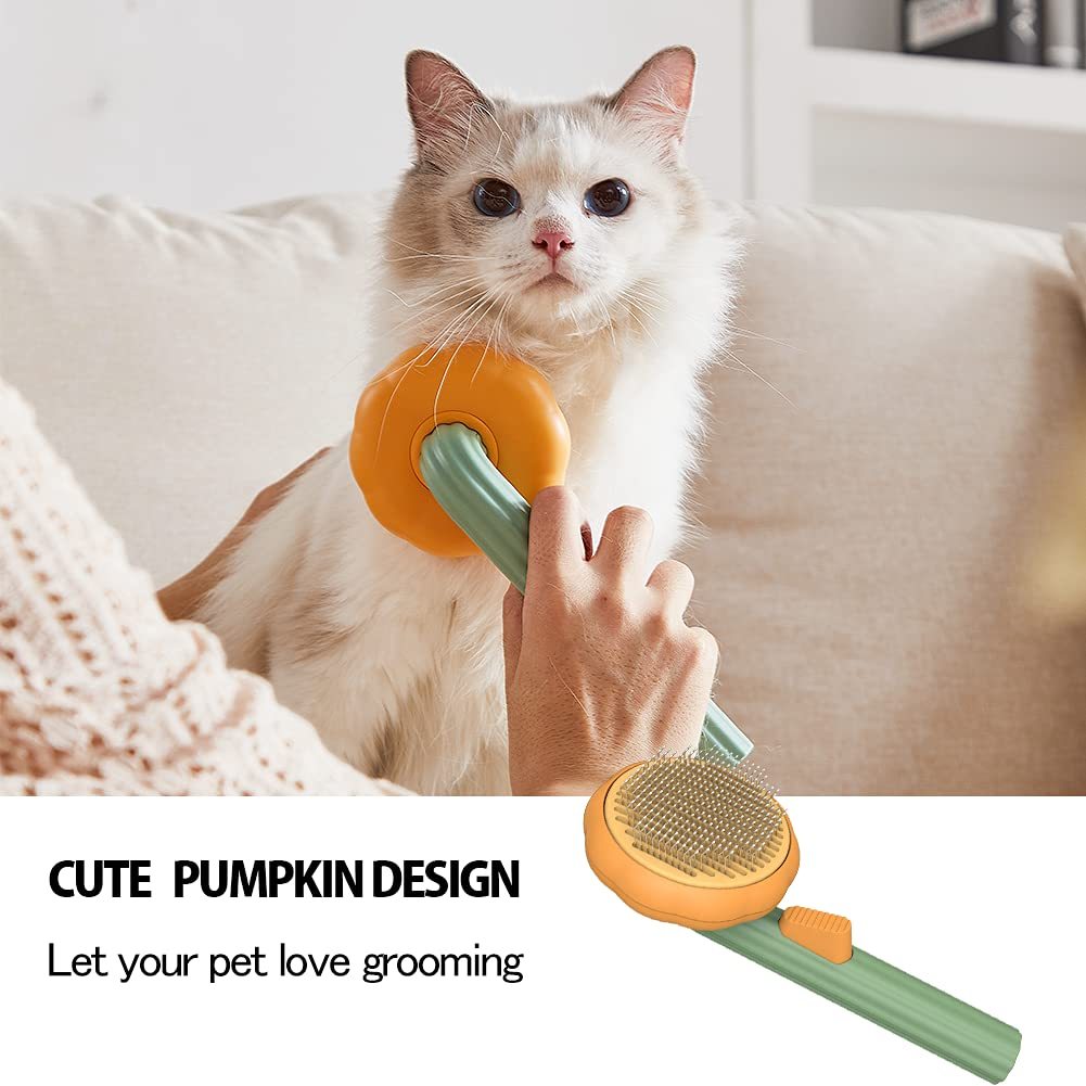 Cat being groomed with a Pet grooming brush featuring a pumpkin design, held by a person.