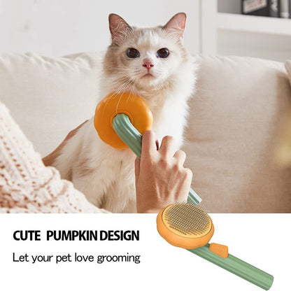 Cat being groomed with a Pet grooming brush featuring a pumpkin design, held by a person.