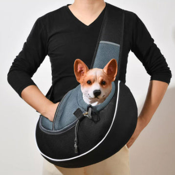 Dog in a black pet carrier bag held by a person against a white background