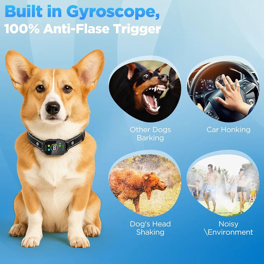 Dog wearing a smart Anti-Barking collar with features highlighted on a blue background