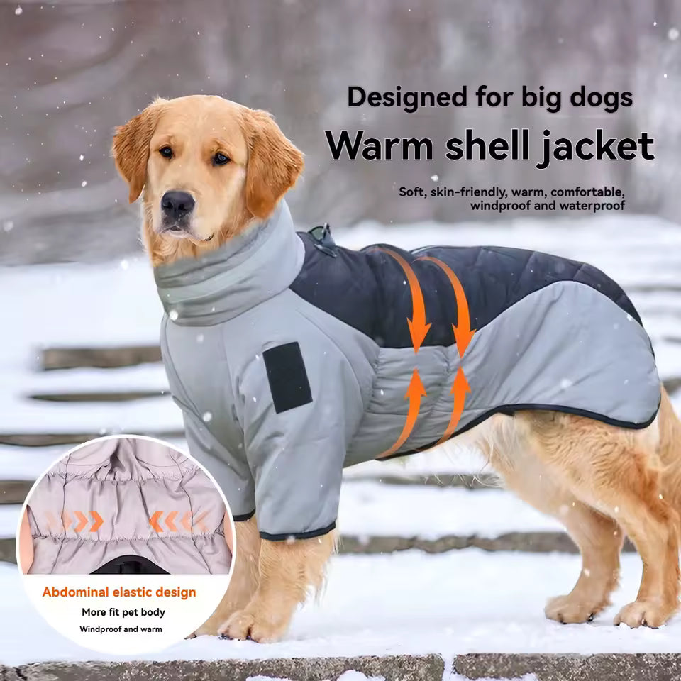 Dog wearing a warm shell jacket in a snowy setting