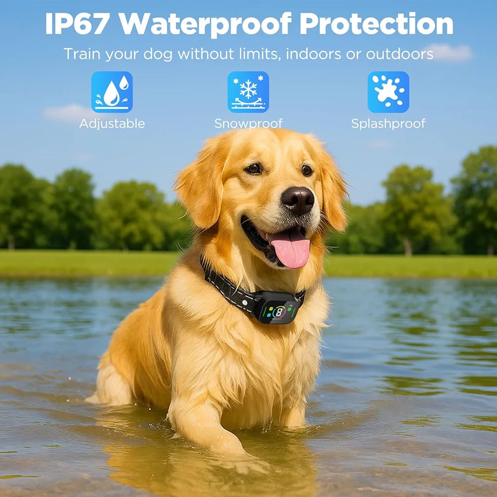 Dog wearing a waterproof collar in water with text about IP67 protection.