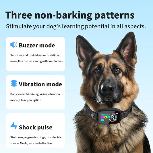 Dog wearing an anti bark tracking collar with three non-barking patterns displayed on a blue background
