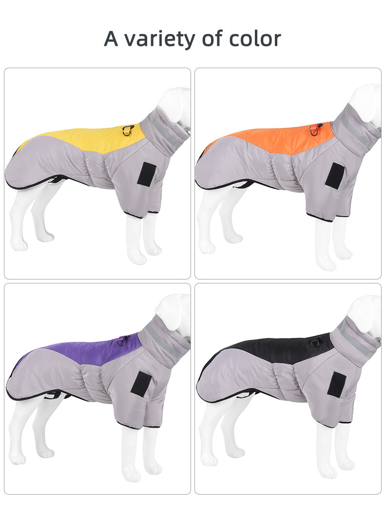 Dog winter coat in gray with color options on a white background