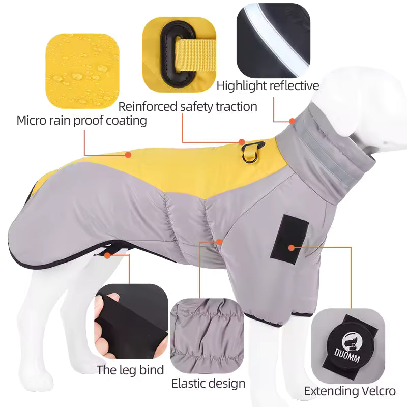 Dog coat with features highlighted on a white background