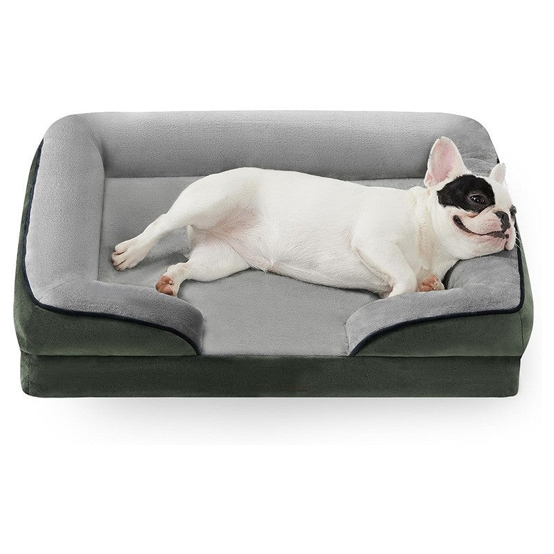 Dog lying on a gray and black orthopedic dog bed with a white background