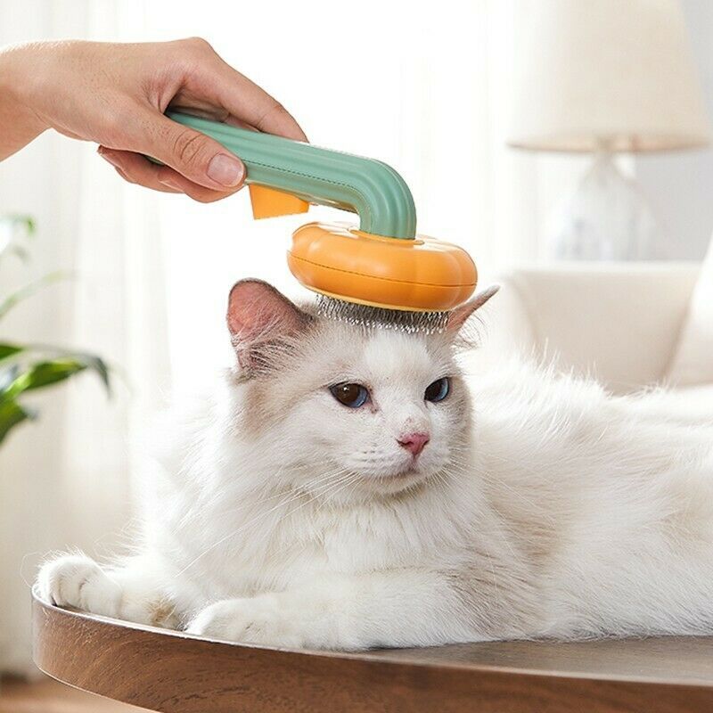 Person using a Pet grooming brush on a white cat indoors