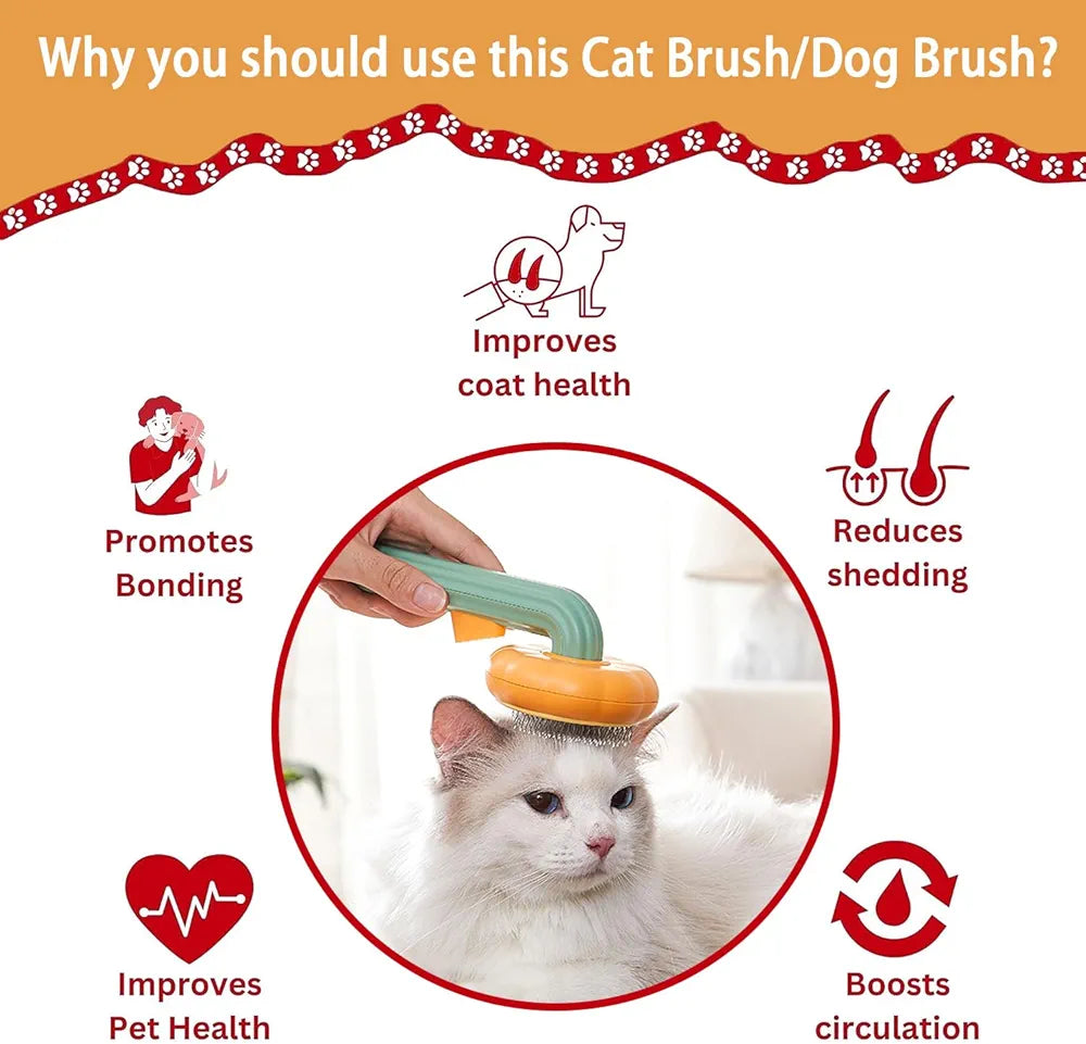 Cat brush with benefits listed on a colorful background