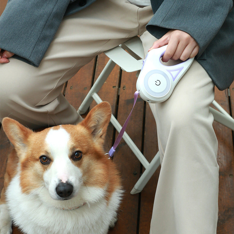 Person holding a retractable LED dog leash with a corgi sitting next to them on a wooden floor.