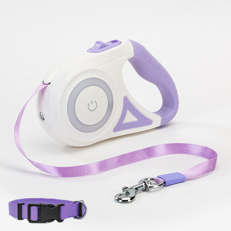 Retractable dog leash and collar set with purple accents on a white background