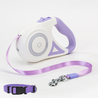 Retractable dog leash and collar set with purple accents on a white background