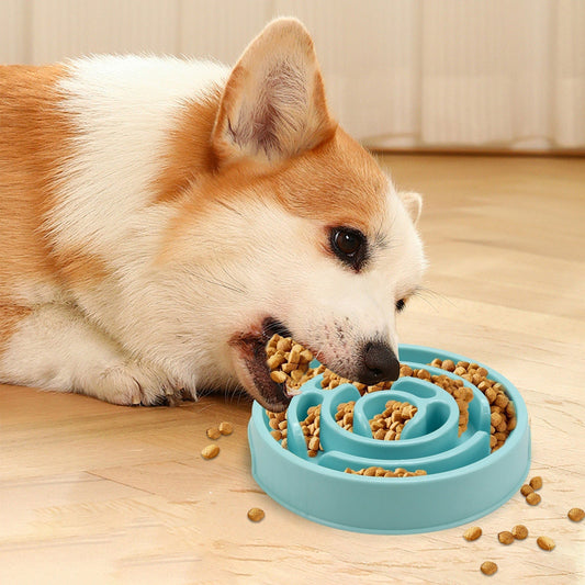  A slow feeder dog bowl in blue with kibble and corgi eating on wooden floor