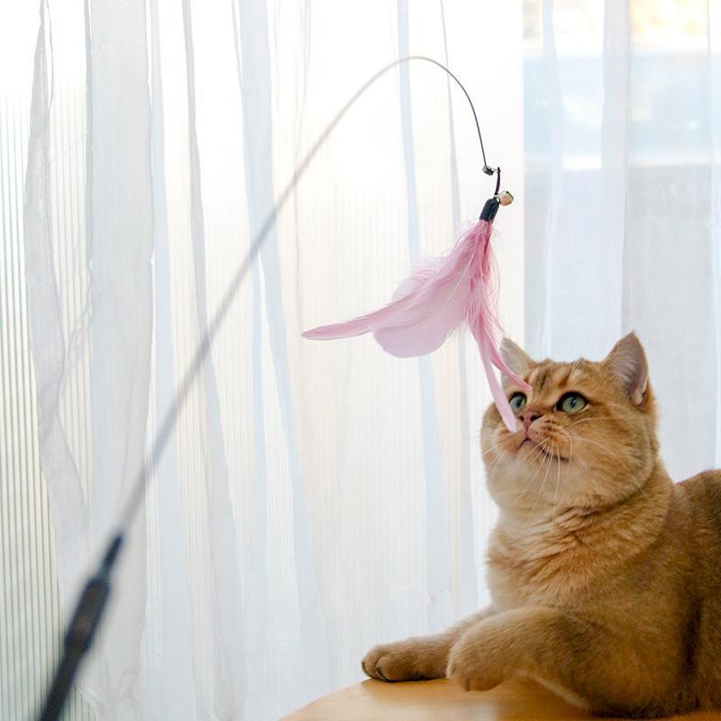 Cat playing with a pink feather toy against a white curtain background