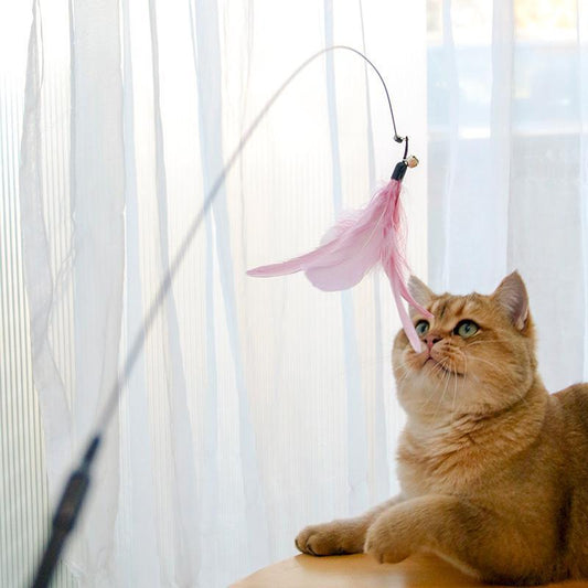 Cat playing with a pink feather toy against a white curtain background