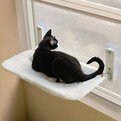 Black and white cat resting on a white fluffy cat window perch attached to a window