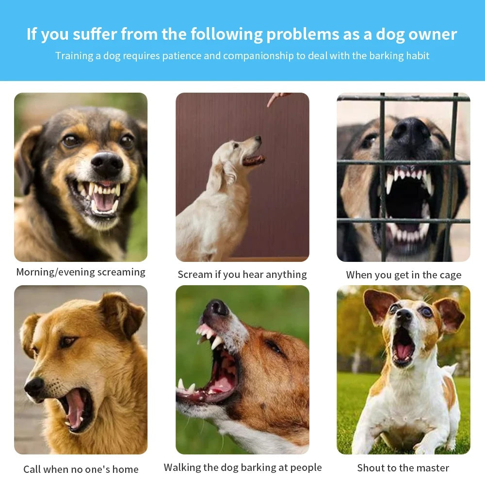 Images of dogs exhibiting various behavioral issues with text describing common problems as a dog owner.