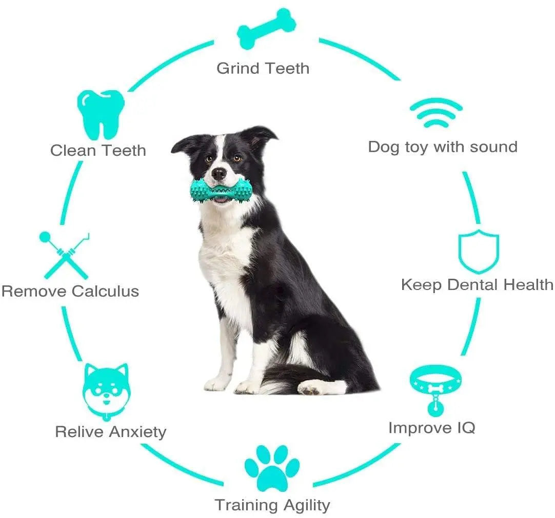 Dog chewing Pawssiblypets durable dog chew toys that help clean teeth and improve dental health
