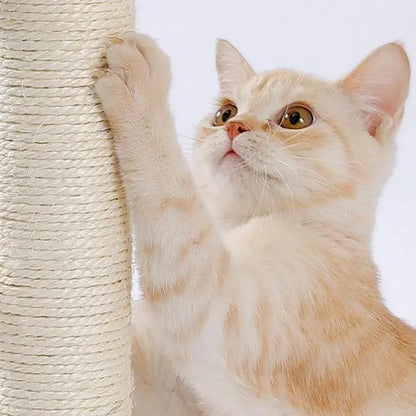 Cat using a durable cat scratching board made of rope for healthy claw maintenance